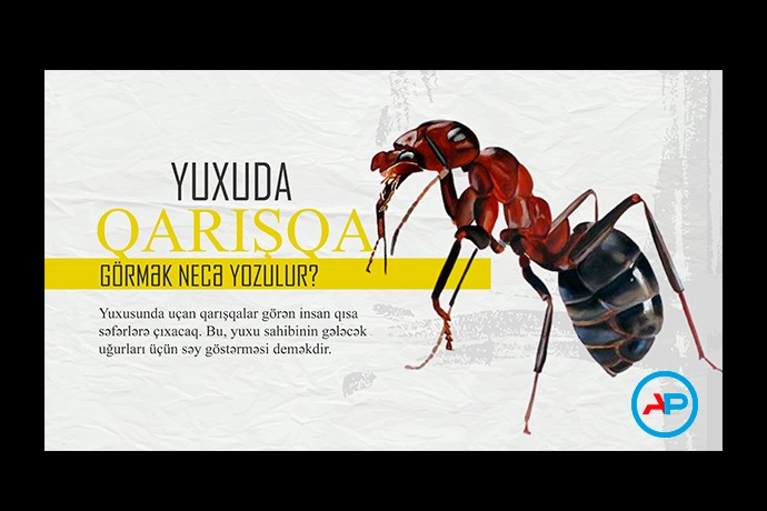Yuxuda uçan qarışqa görmək necə yozulur?