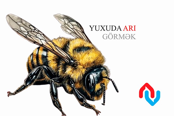 Yuxuda arı görmək