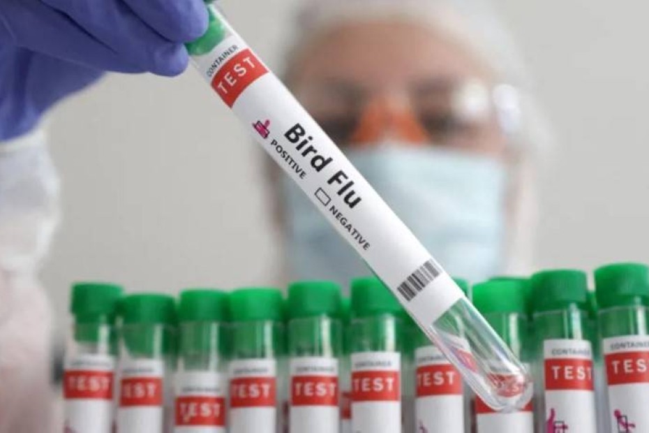 COVİD sonrası epidemiya riski - ölümcül qrip hadisəsi qeydə alınıb