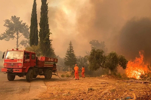 Türkiyədə meşə yanğınları yaşayış məntəqələrinə yaxınlaşıb