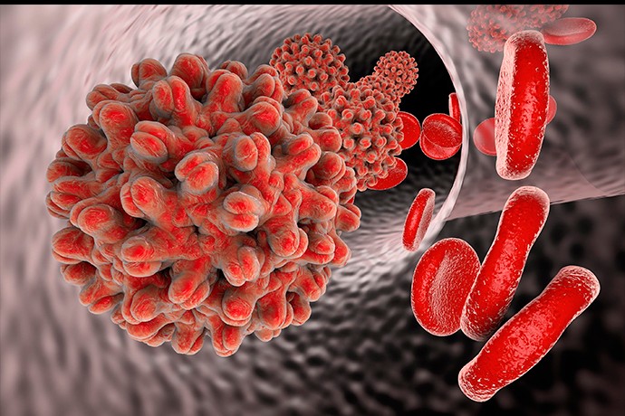 Hepatit A virusuna tək-tək yoluxma halları qeydə alınıb