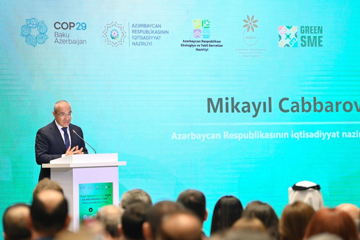 Azərbaycan yaşıl keçidin əsas iştirakçılarından biridir - Mikayıl Cabbarov