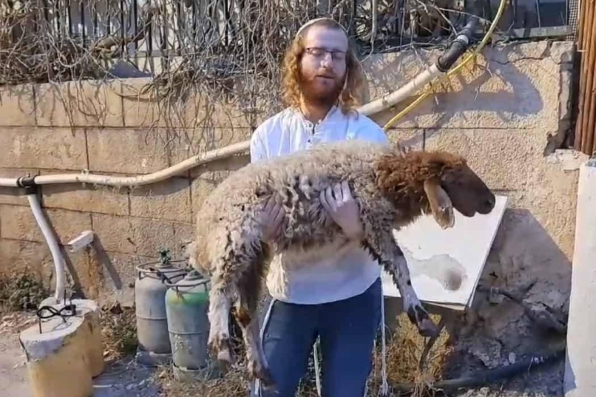 Niyə yəhudilər Məscidül-Əqsada qurban kəsməyə çalışırlar?