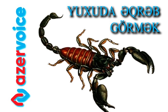 Yuxuda əqrəb görmək necə yozulur?