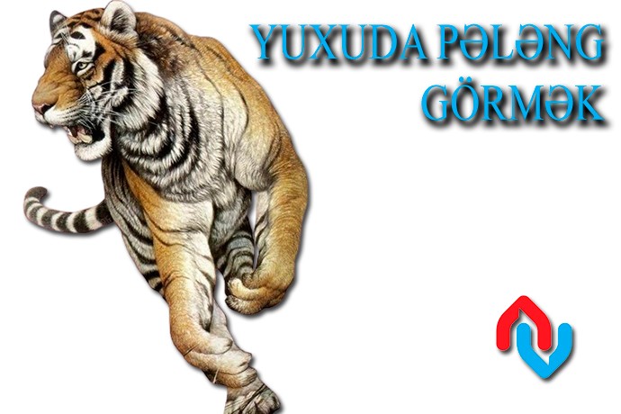 Yuxuda pələng görmək necə yozulur?