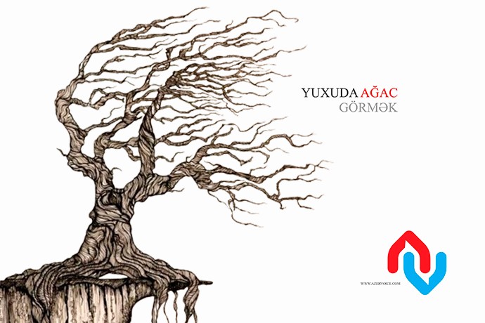 Yuxuda ağac görmək necə yozulur