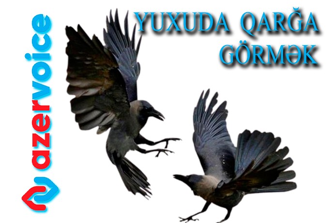 Yuxuda qarğa görmək necə yozulur