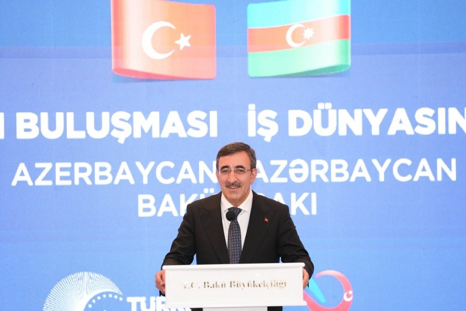 Azərbaycan və Ermənistan arasında sülh daha geniş regiona fayda gətirəcək - Cevdət Yılmaz
