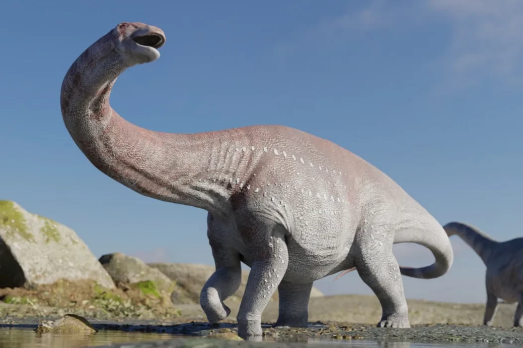 Tədqiqatçılar Afrika və Cənubi Amerikada eyni dinozavr izləri aşkar ediblər