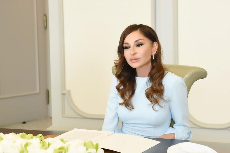 Pakistan mətbuatı Birinci vitse-prezident Mehriban Əliyevanın rəhbərliyi altında həyata keçirilən humanitar layihələrdən yazıb