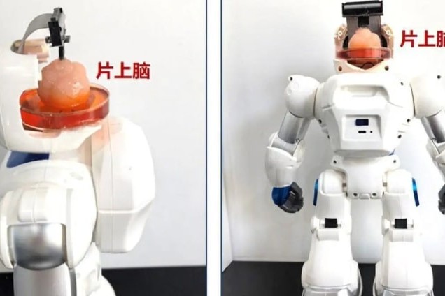 İflic xəstələri üçün insan beyni ilə idarə oluna bilən robot hazırlanıb