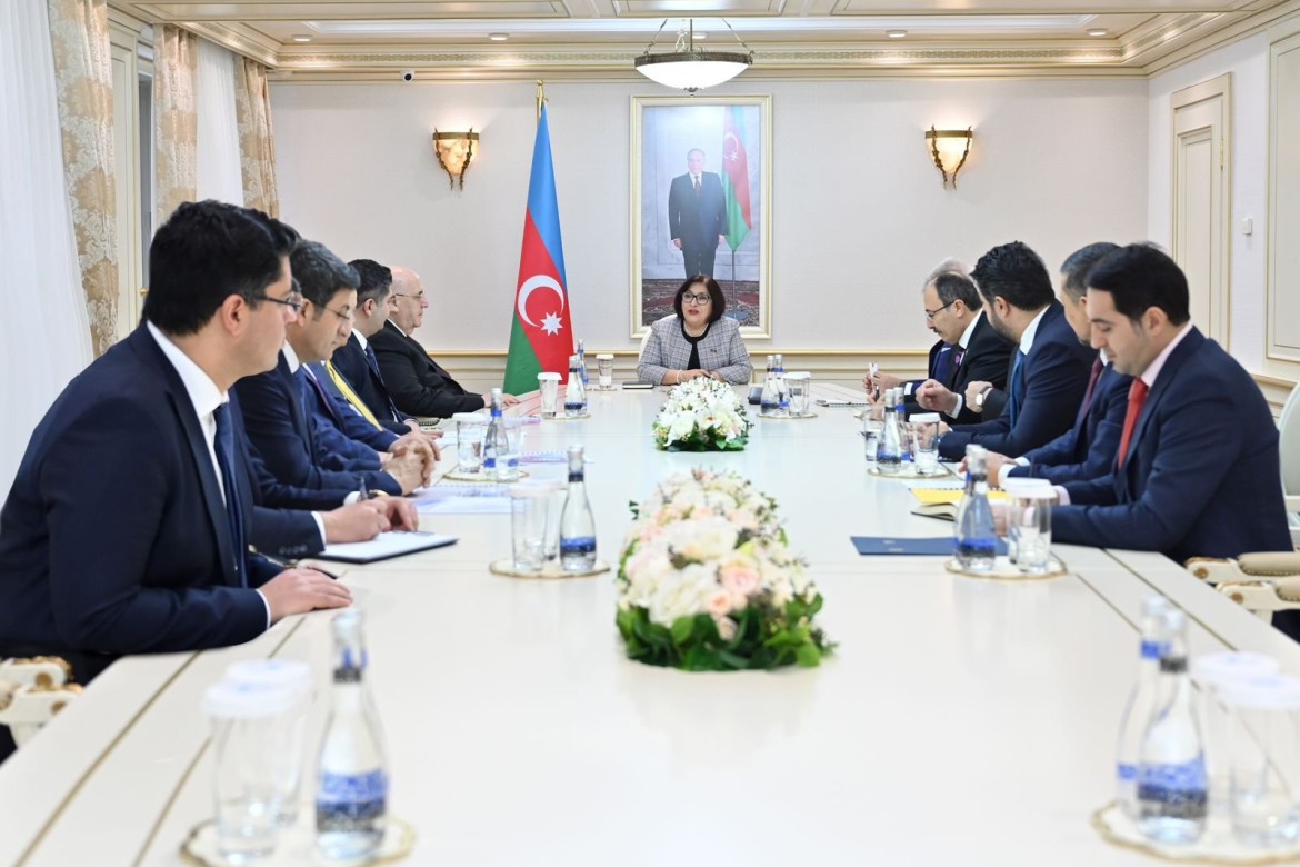 Sahibə Qafarova TBMM və TürkPA-nın nümayəndə heyətləri ilə görüşlər keçirib