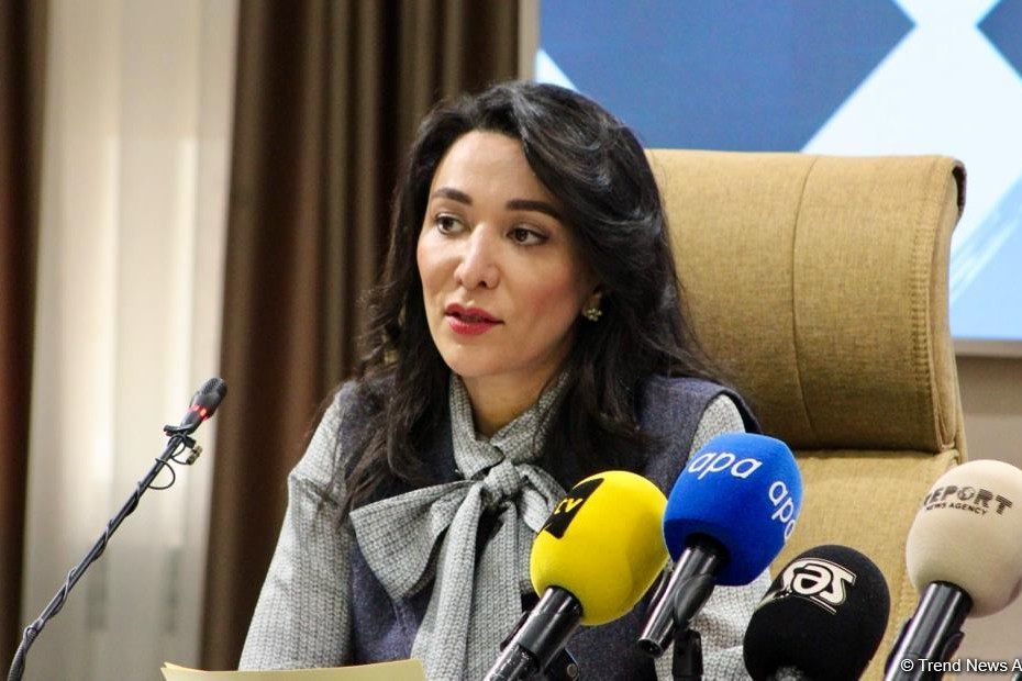 Respublikamızda seçki hüquqları ilə əlaqədar müsbət praktika mövcuddur - Ombudsman