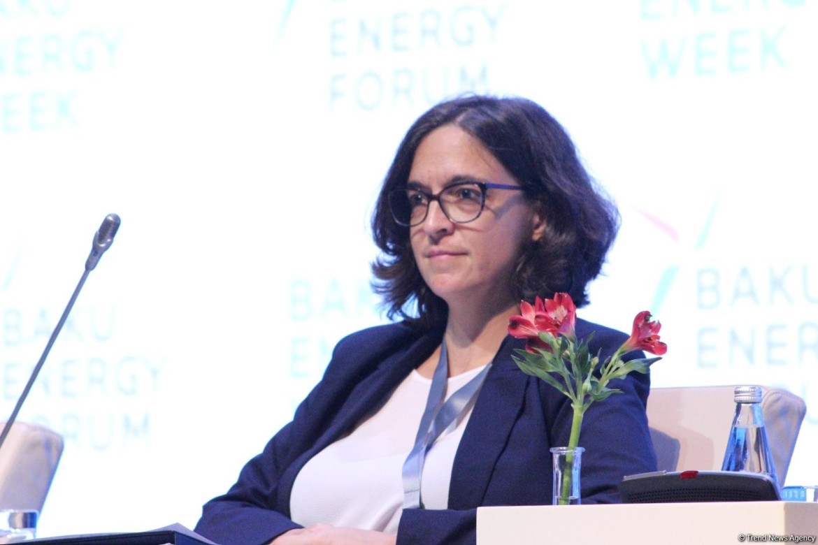 Sloveniya BEM sahəsində öz təcrübəsini Azərbaycana təklif edə bilər - Energetika üzrə dövlət katibi