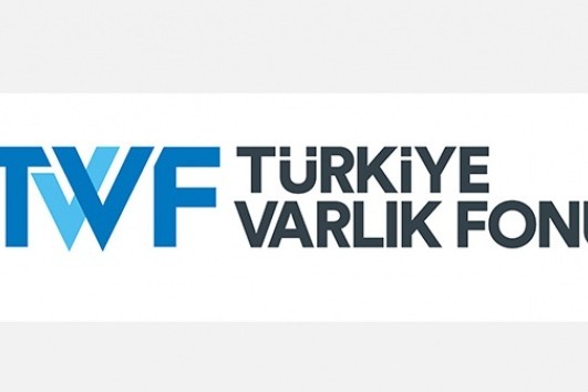 Türkiyədə 12 şirkətin səhmləri Türkiyə Varlıq Fonduna köçürülüb