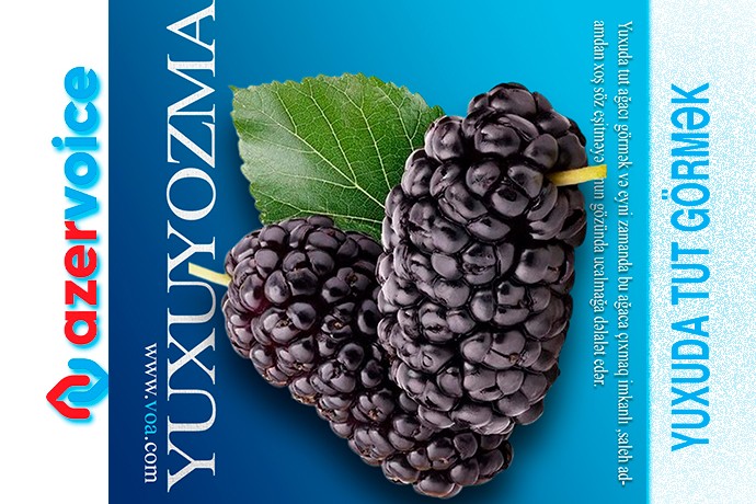 Yuxuda tut görmək necə yozulur?