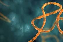 2014-cü il bu gün ABŞ-da Ebola diaqnozu qoyulan ilk şəxs dünyasını dəyişdi