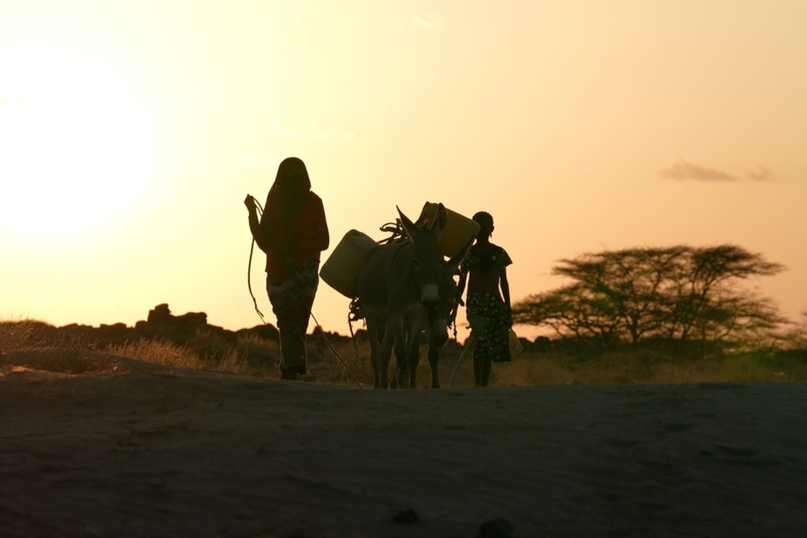 Azərbaycanlı rejissor Afrikada su böhranı haqqında film çəkib