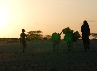 Azərbaycanlı rejissor Afrikada su böhranı haqqında film çəkib