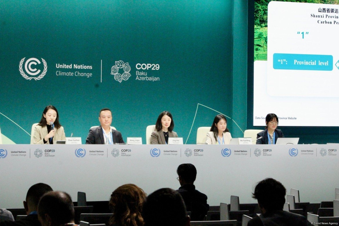 COP29 çərçivəsində "İqlim dəyişmələri üzrə submilli fəaliyyət" mövzusunda panel müzakirə keçirilib