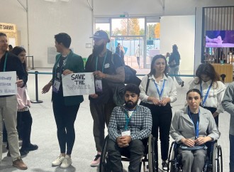 COP29 məkanında dəniz mədənçiliyi və balina ovuna qarşı etiraz aksiyası keçirildi