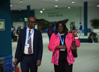 COP29-un səkkizinci günündən fotoreportaj