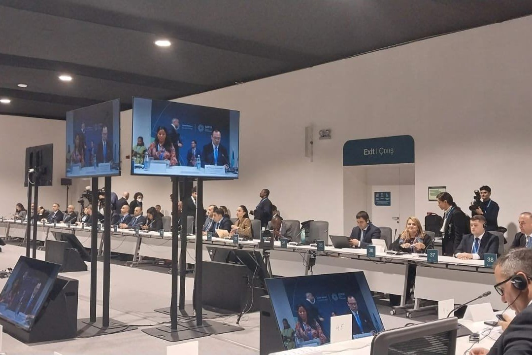 COP29 çərçivəsində regional aqro-ərzaq təşəbbüsləri ilə bağlı tədbir keçirilir