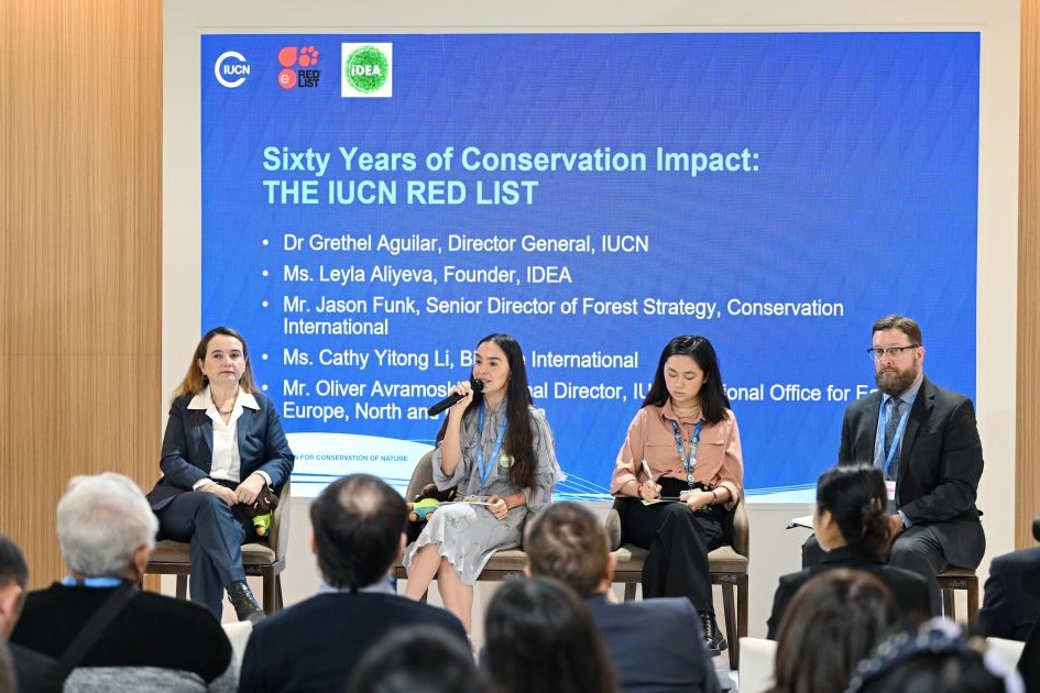 Heydər Əliyev Fondunun vitse-prezidenti Leyla Əliyeva COP29 çərçivəsində nadir canlıların mühafizəsinə həsr olunan panel müzakirələrində iştirak edib