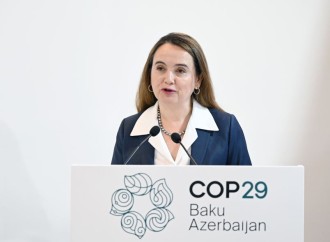 Heydər Əliyev Fondunun vitse-prezidenti Leyla Əliyeva COP29 çərçivəsində nadir canlıların mühafizəsinə həsr olunan panel müzakirələrində iştirak edib