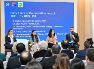 Heydər Əliyev Fondunun vitse-prezidenti Leyla Əliyeva COP29 çərçivəsində nadir canlıların mühafizəsinə həsr olunan panel müzakirələrində iştirak edib