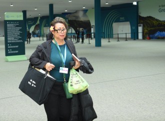 COP29-un onbirinci günündən fotoreportaj