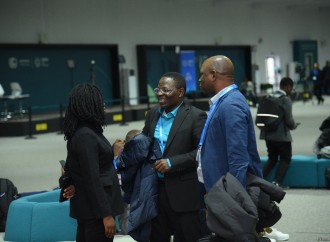 COP29-un onbirinci günündən fotoreportaj