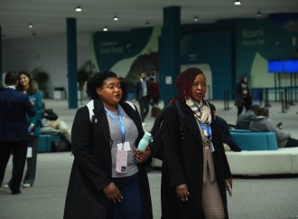 COP29-un onbirinci günündən fotoreportaj