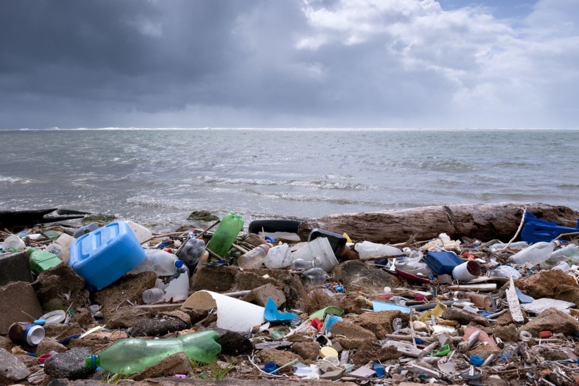 Dünyada plastik istehsalının azaldılmasına qlobal çağırış