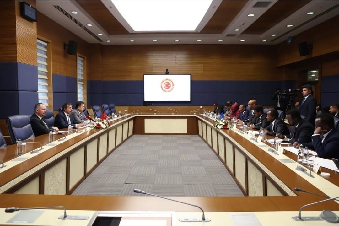 Somali Parlement nümayəndəsi TBMM- də çıxış edib