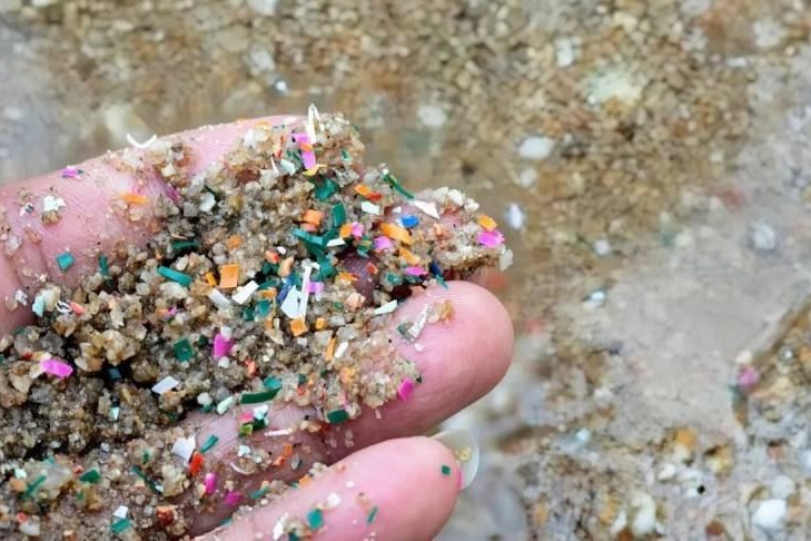 Beyində olan mikroplastik miqdarı rekord səviyədə artıb