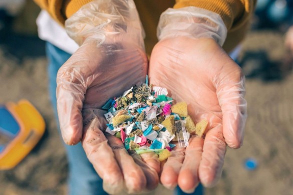 Antarktidada belə mikroplastik var - ekosistem təhlükə altındadır