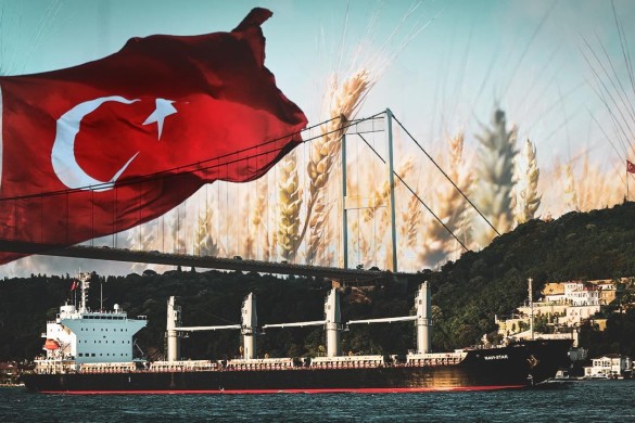 Türk dili Qambiya universitetinin tədris proqramına daxil edilir