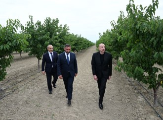 Prezident İlham Əliyev Yevlax pilot aqroparkının açılışında iştirak edib