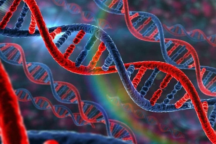 Elmdə inqilab: DNT-nin ikili spiral quruluşunun kəşfindən 73 il ötür