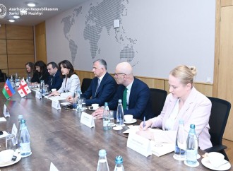 Azərbaycan və Gürcüstan XİN rəhbərləri mətbuata bəyanatla çıxış ediblər