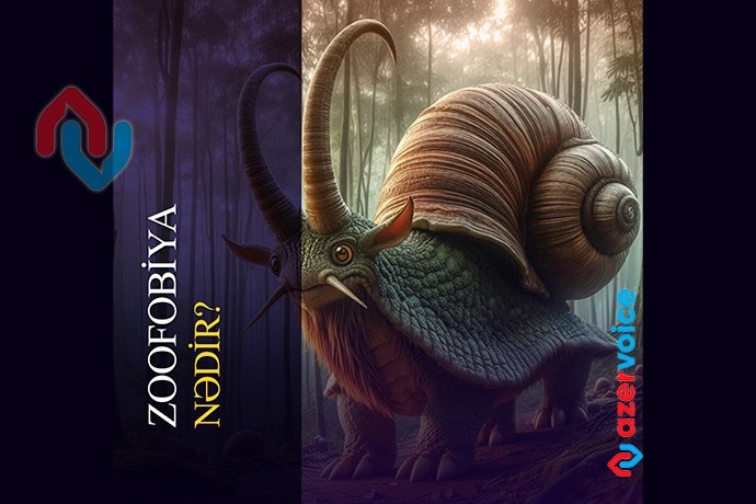 Zoofobiya nədir?