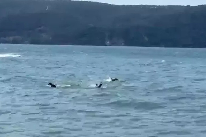 Çində yük gəmisi ilə balıqçı qayığı toqquşub