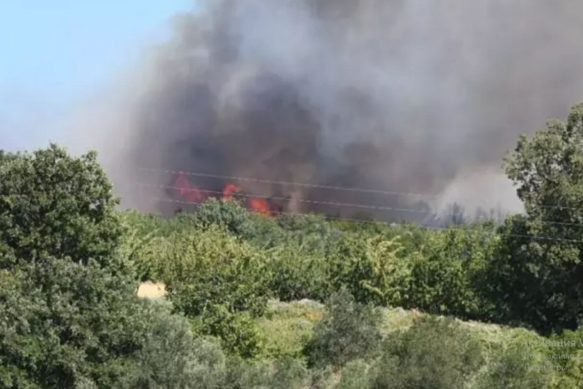 Çanaqqalada baş verən meşə yanğını tam nəzarət altına alınıb