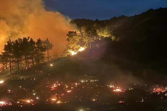 Hatayda meşə yanğını baş verib