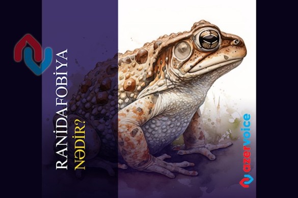 Ranidafobiya nədir?