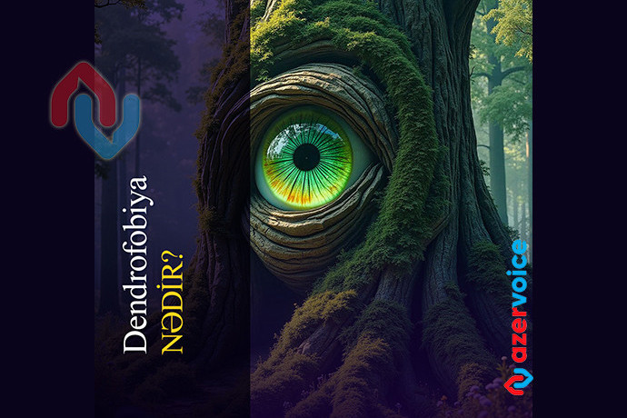 Dendrofobiya nədir?