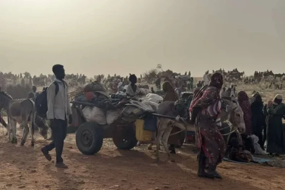 BMT Sudan ordusu ilə vuruşan RSF komandirlərini hərbi cinayətlərdə və etnik təmizləmədə günahlandırır