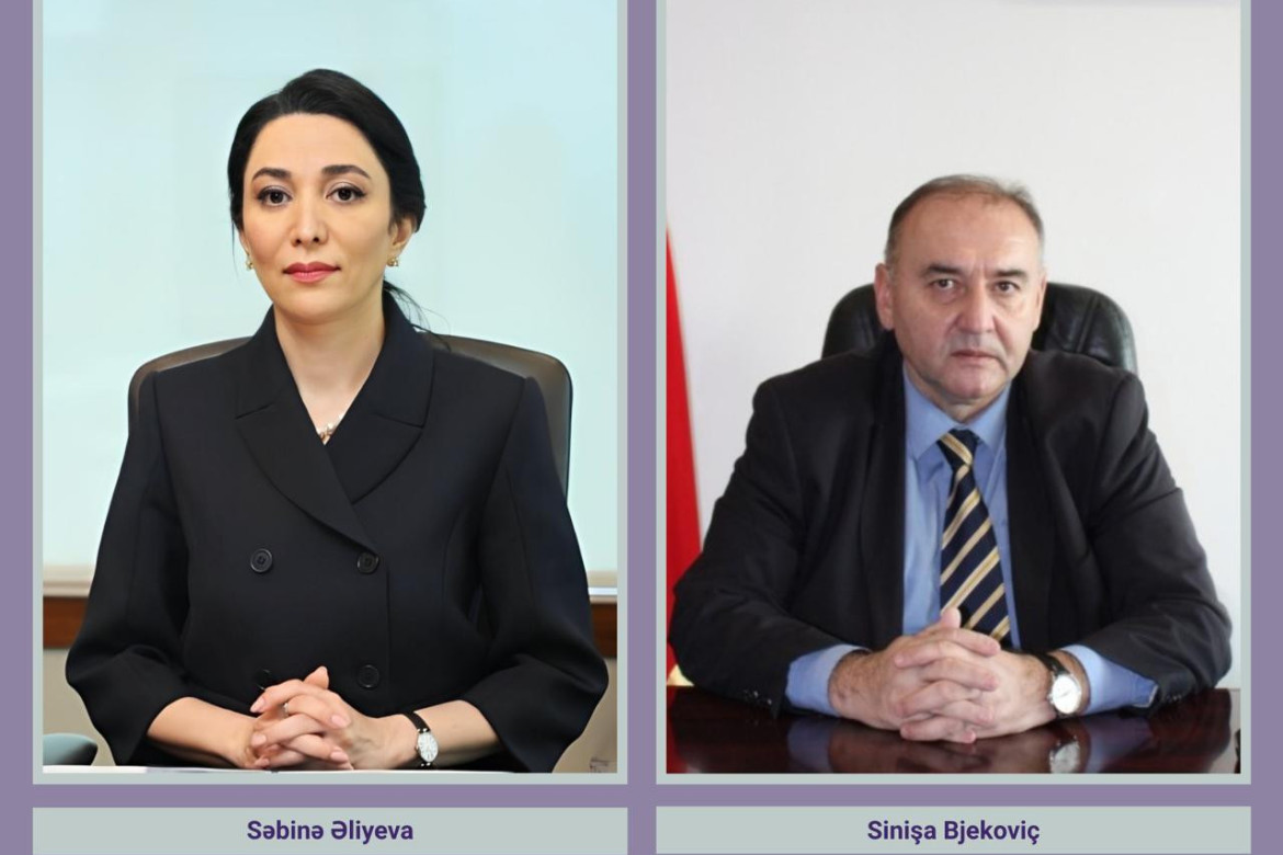 Səbinə Əliyeva Monteneqro Ombudsmanına bu ölkədə saxlanılan Azərbaycan vətəndaşlarının hüquqlarının müdafiəsi ilə bağlı məktub ünvanlayıb