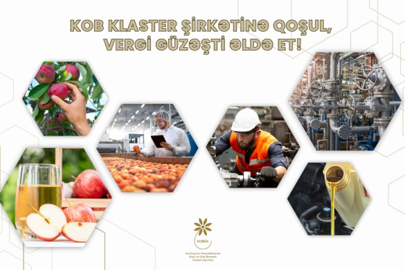 KOB klasterinə qoşulan sahibkarlar 7 il vergi güzəştlərindən yararlanacaq